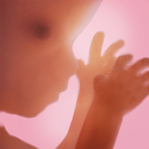 Pregnancy+ app icon