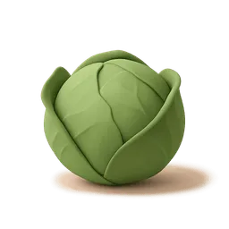 Cabbage