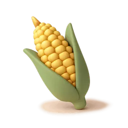Corn