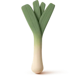 Leek