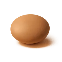 Lentil