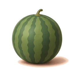 Watermelon