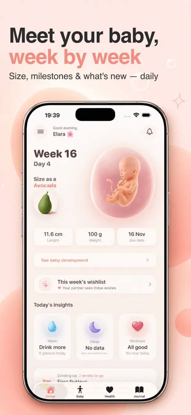 Meet your baby, week by week